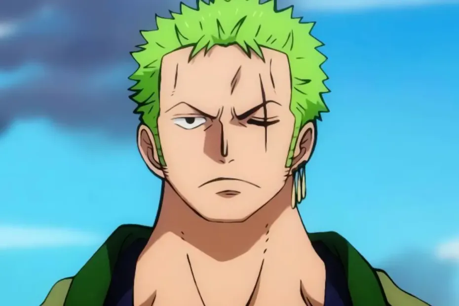 zoro toma a dor de luffy